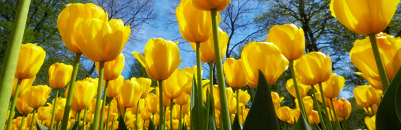 Osterüberraschung 18. April - 22. April 2019
